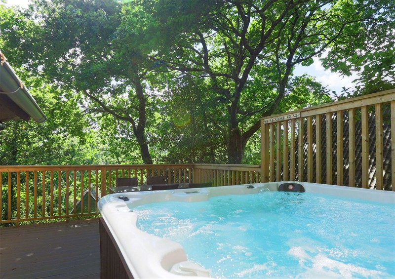 Spend some time in the pool at Lodge 68 - Fern Gully, Finlakes Holiday Park near Chudleigh