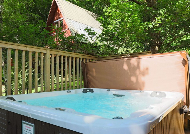 The hot tub at Lodge 68 - Fern Gully, Finlakes Holiday Park near Chudleigh