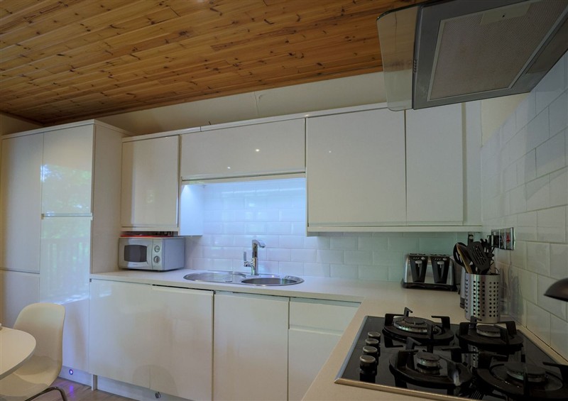 The kitchen at Lodge 68 - Fern Gully, Finlakes Holiday Park near Chudleigh
