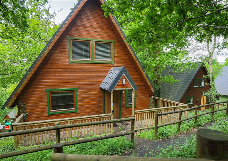 The setting at Lodge 68 - Fern Gully, Finlakes Holiday Park near Chudleigh