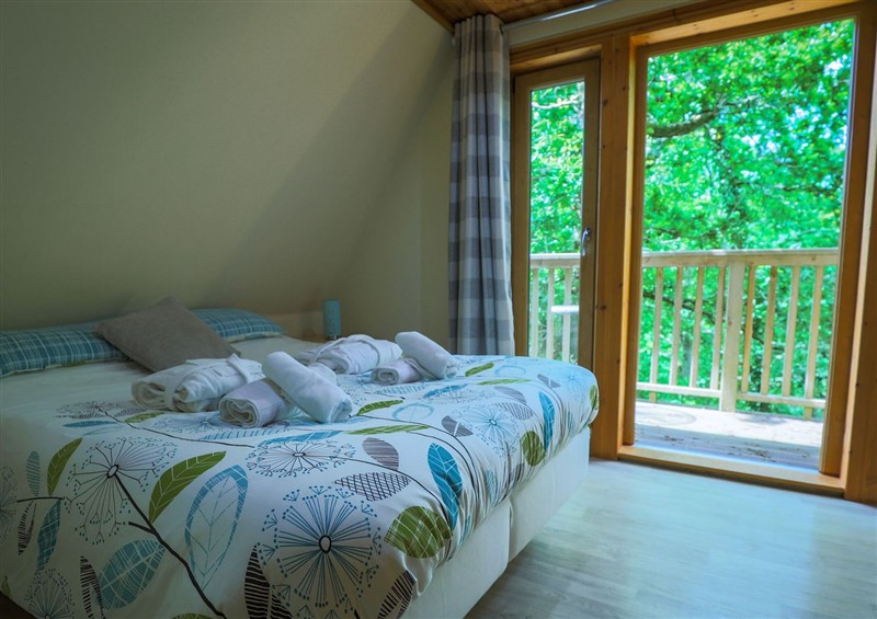 This is Lodge 68 - Fern Gully (photo 2) at Lodge 68 - Fern Gully, Finlakes Holiday Park near Chudleigh
