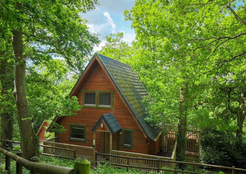 This is Lodge 68 - Fern Gully at Lodge 68 - Fern Gully, Finlakes Holiday Park near Chudleigh