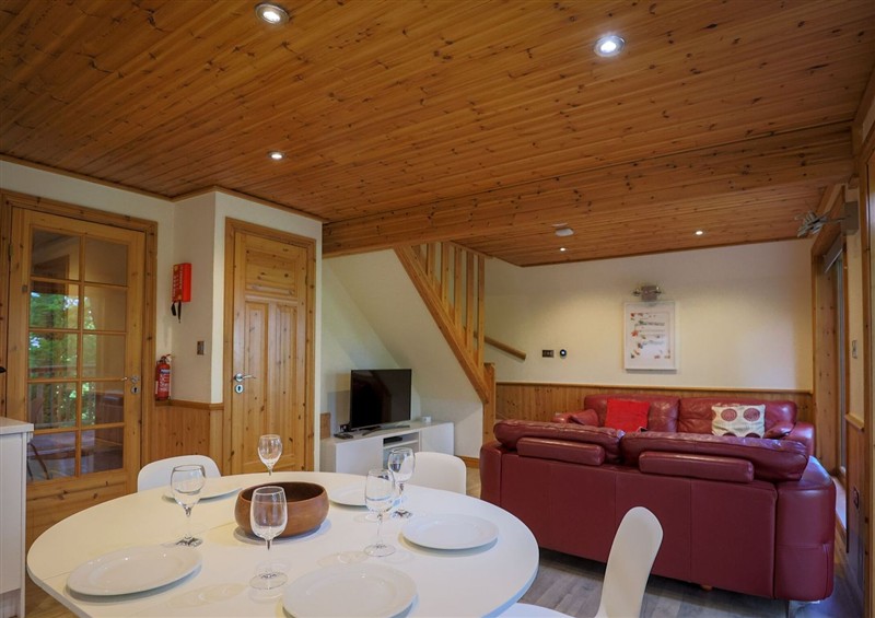 This is the kitchen at Lodge 68 - Fern Gully, Finlakes Holiday Park near Chudleigh