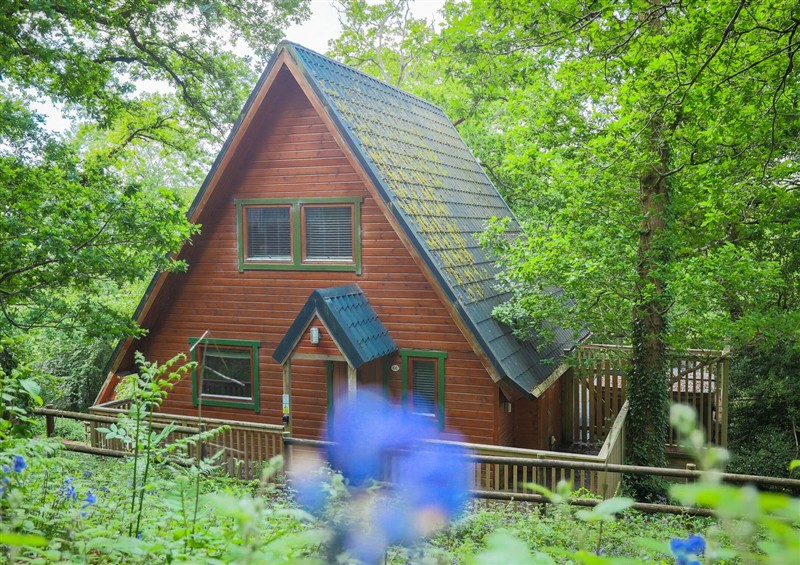 This is the setting of Lodge 68 - Fern Gully at Lodge 68 - Fern Gully, Finlakes Holiday Park near Chudleigh
