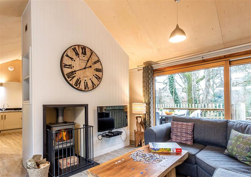 Enjoy the living room at Lodge 8, Corfe Castle