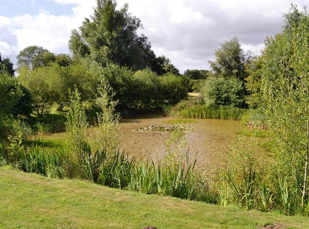 Tranquil lake in shared garden area at Lodge Cottage in Scarning, near Dereham, Norfolk