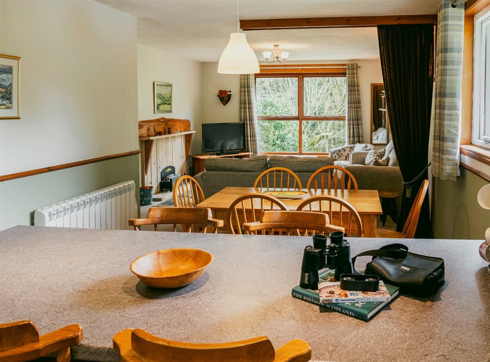 Dining Area at Lodge One in Moffat, Dumfriesshire