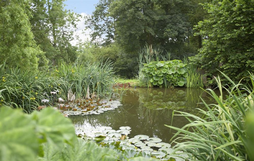 There is a very large fenced pond/lake in the gardens and a brook at the bottom of the woods at Long Cover, Kyre