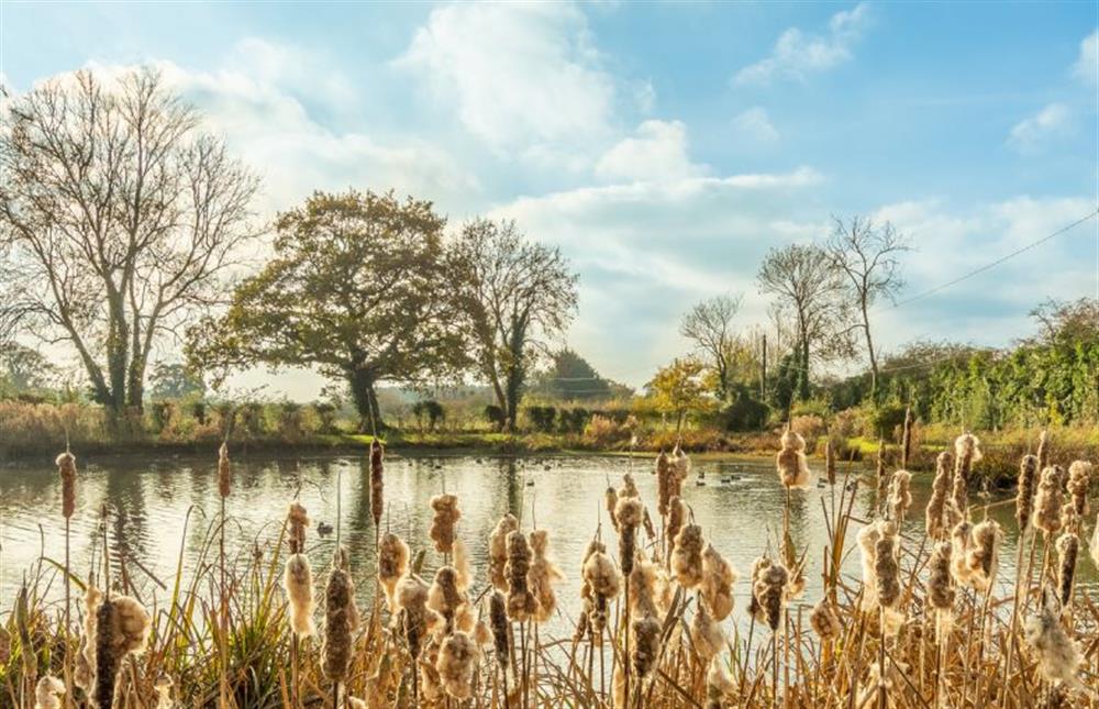 Great Bircham village pond (photo 2) at Long Meadow, Great Bircham near Kings Lynn