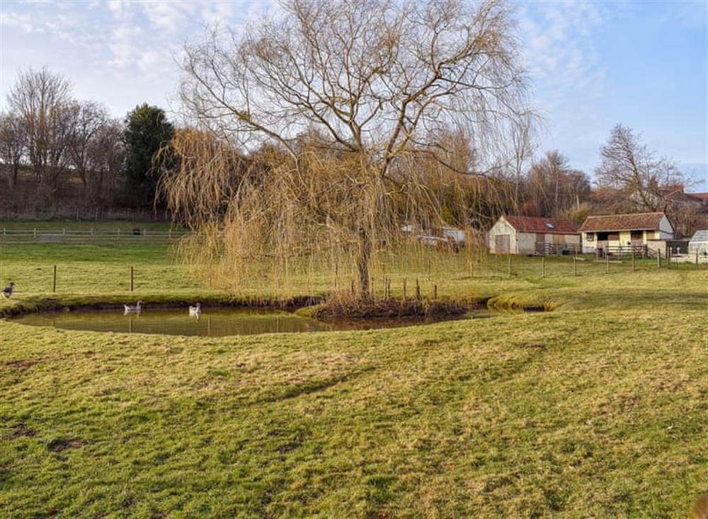 Lovely grounds with a small pond and marsh land at Longfellow in Goodrich, near Ross-on-Wye , Herefordshire