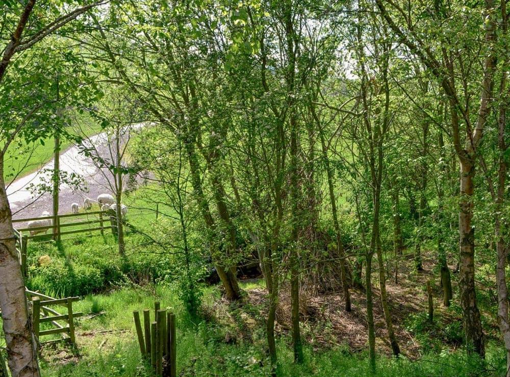 Surrounding area (photo 3) at Longknowe Barn in Mindrum, near Wooler, Northumberland