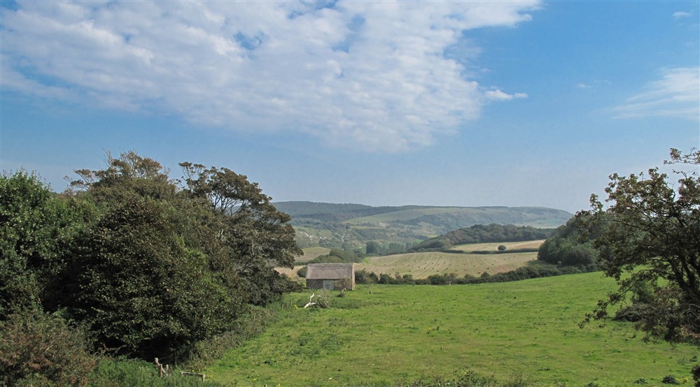 The surrounding area of Longstone cottage, Isle of Wight at Longstone Cottage in Mottistone, Isle Of Wight