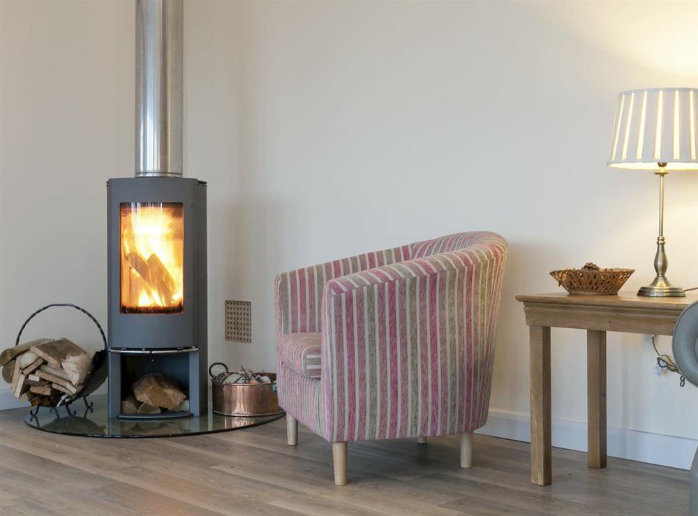 ‘State of the art’ wood-burning stove