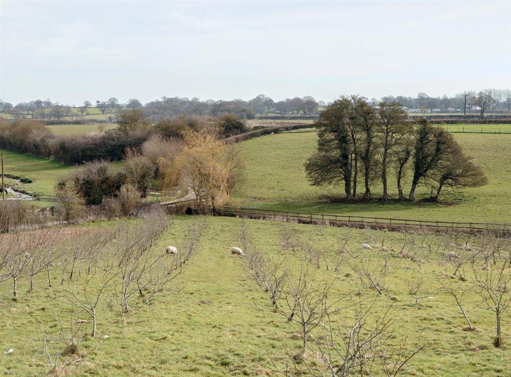Panoramic rural surroundings at Longview in Lower Stanton St. Quintin, near Chippenham, Wiltshire