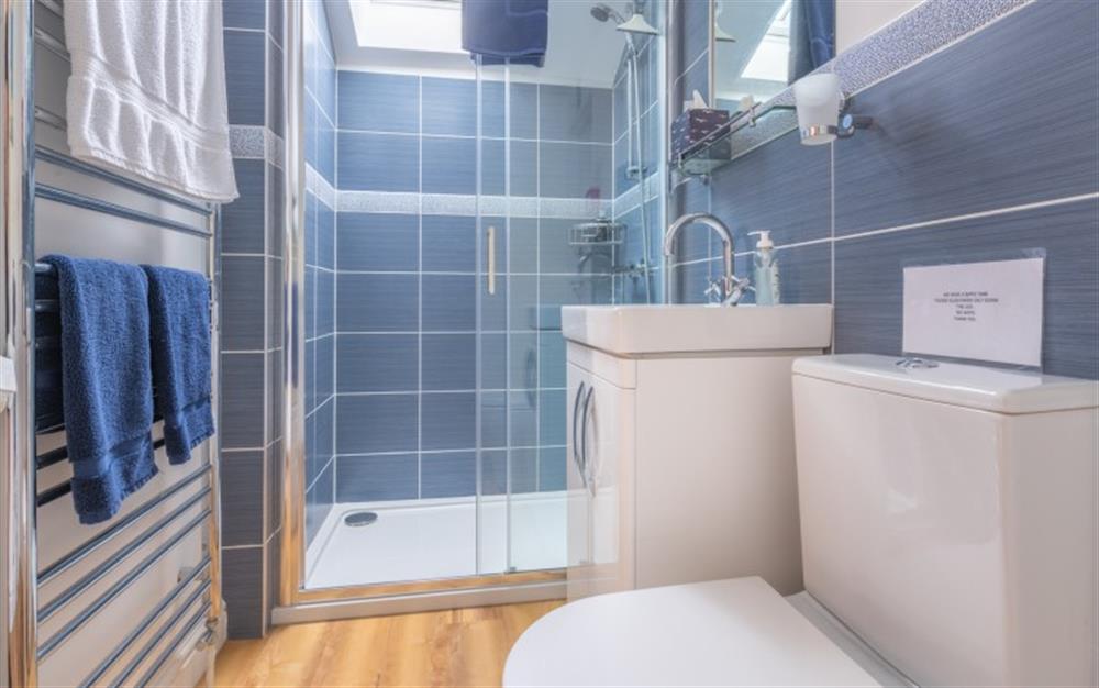 Double shower with adjustable head at Lookout in Ottery St Mary