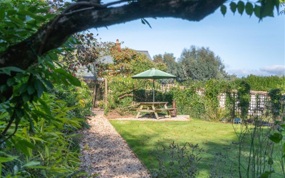 Garden space to relax at Lookout in Ottery St Mary