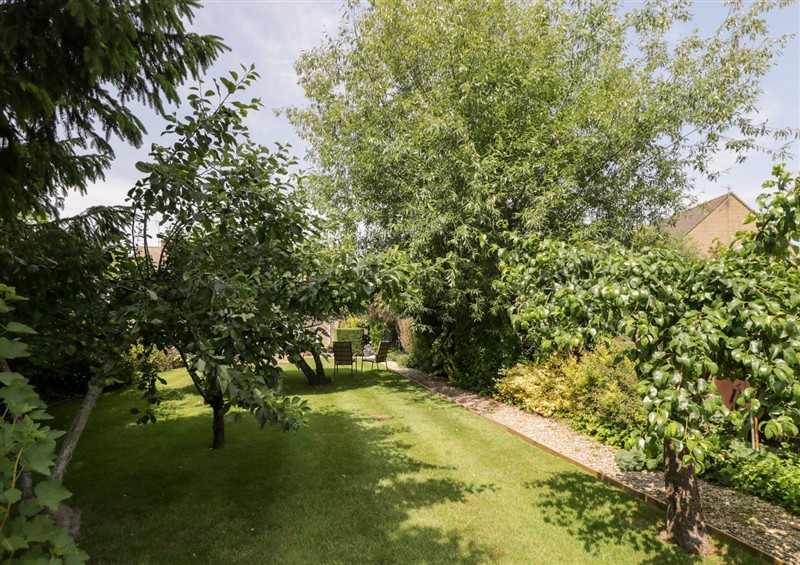 Enjoy the garden at Lorien, Fifield