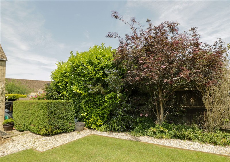 The garden in Lorien at Lorien, Fifield