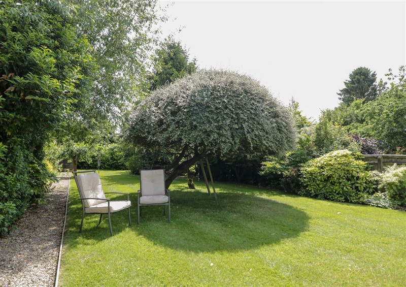 This is the garden at Lorien, Fifield