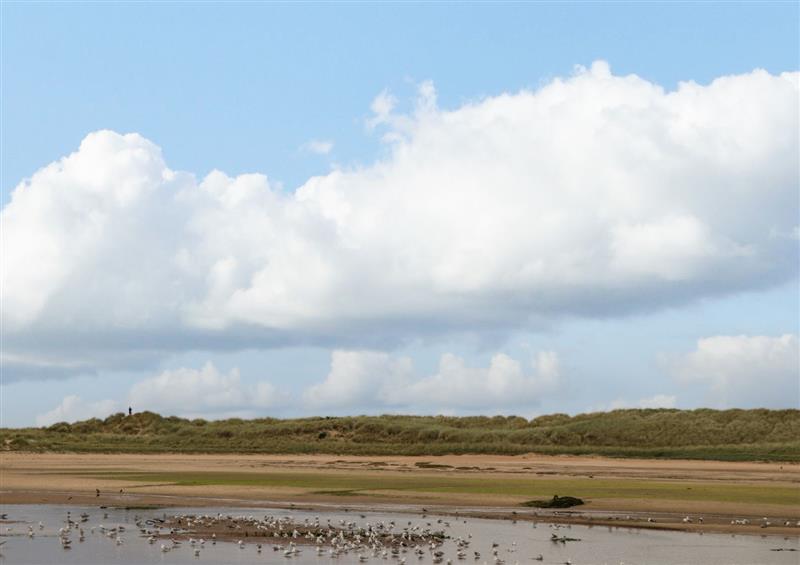 The area around Lossiemouth Bay Cottage