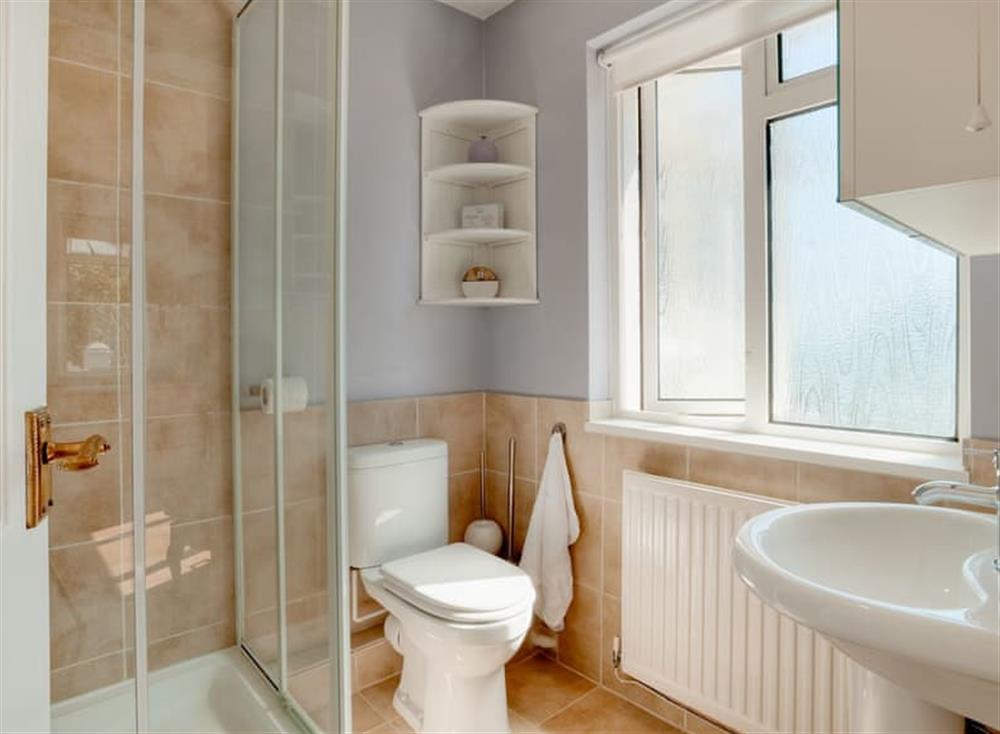 Shower room at Lotts View in Paignton, South Devon