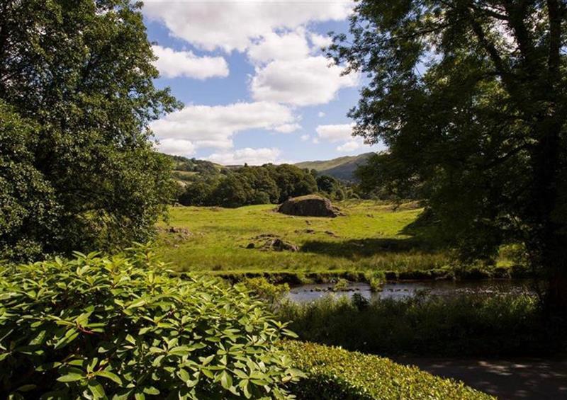 The setting at Loughrigg Cottage, Ambleside