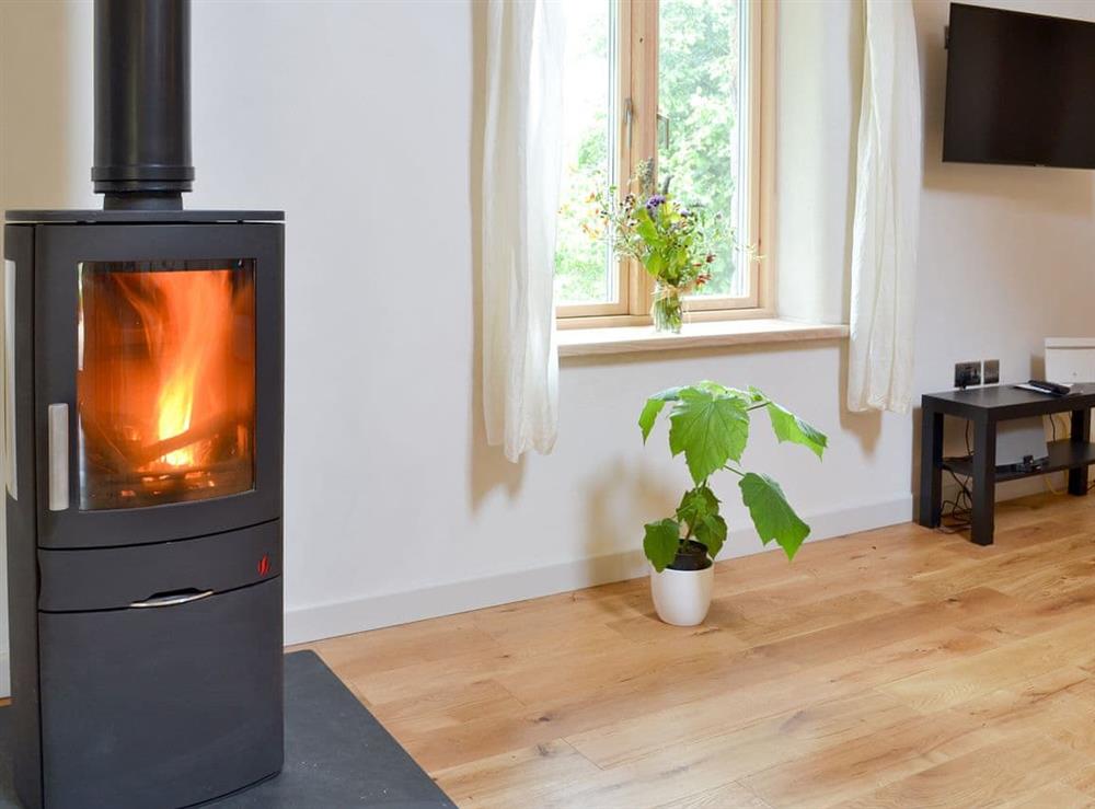 Cosy modern wood burner in the living area at Love Barn in Dartington, near Totnes, Devon