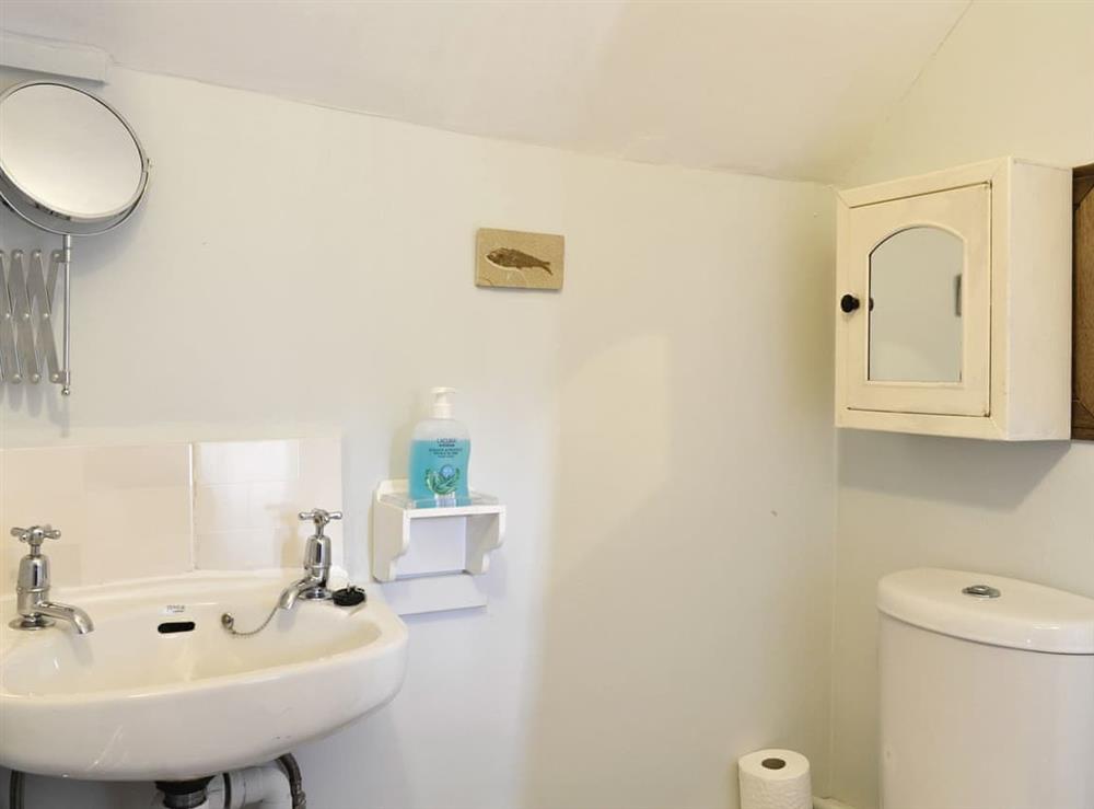 Shower room at Low Floweryhirst Cottage in Roweltown, near Brampton, Cumbria