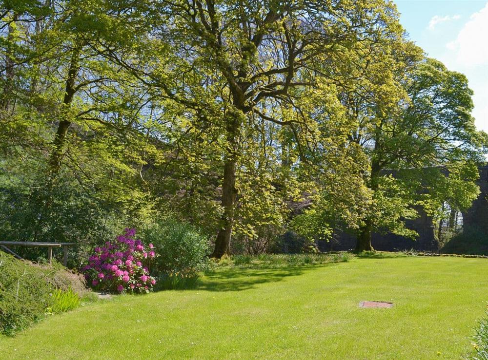 Spacious shared garden and grounds at Low Jock Scar Country Estate in Kendal, Cumbria