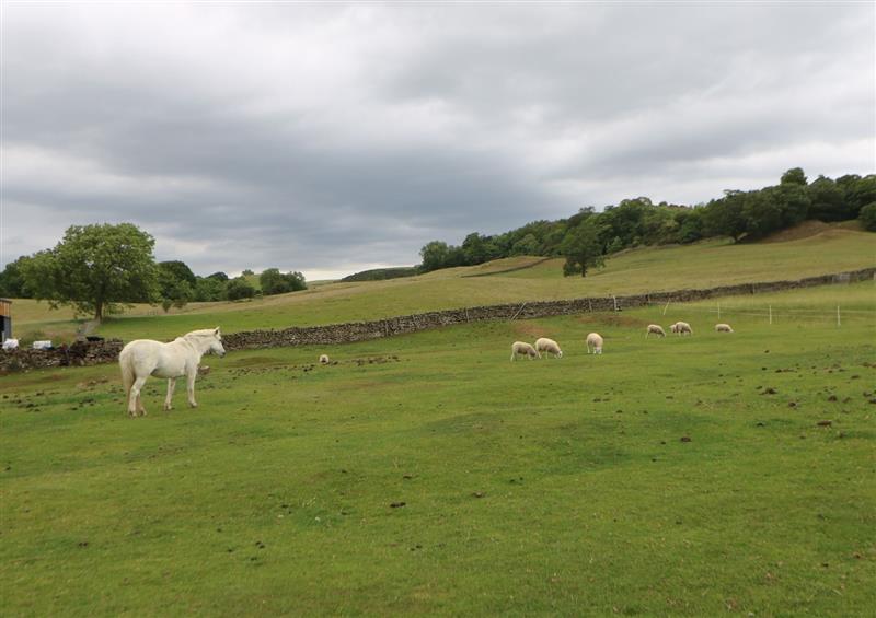 Rural landscape (photo 2) at Low Shipley Mill, Marwood near Barnard Castle