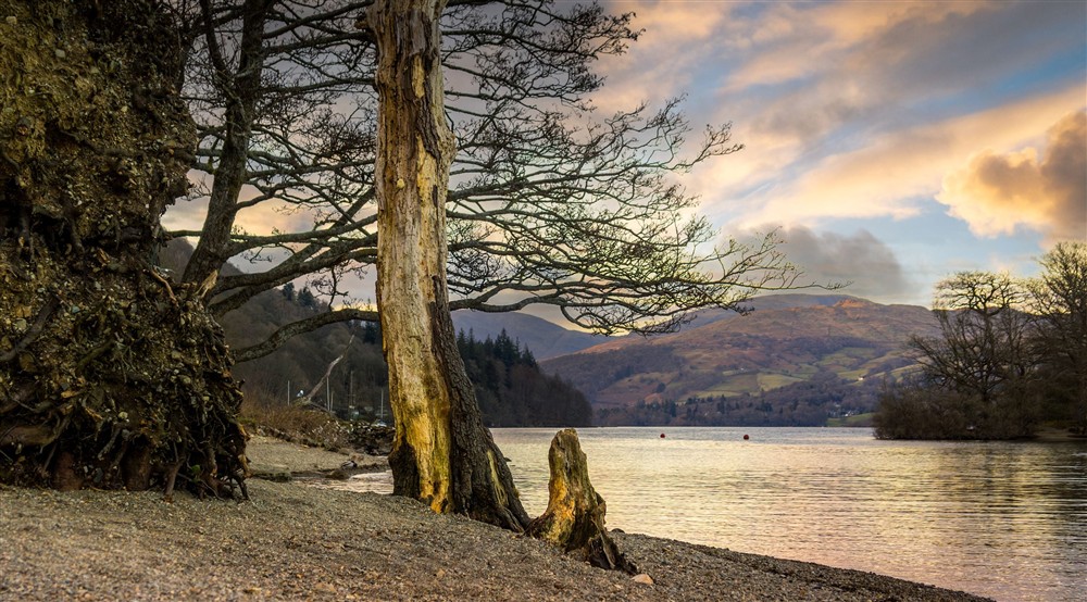 The Windermere lakeshore by Low Strawberry Gardens, Cumbria at Low Strawberry Gardens in Nr Hawkshead, Cumbria