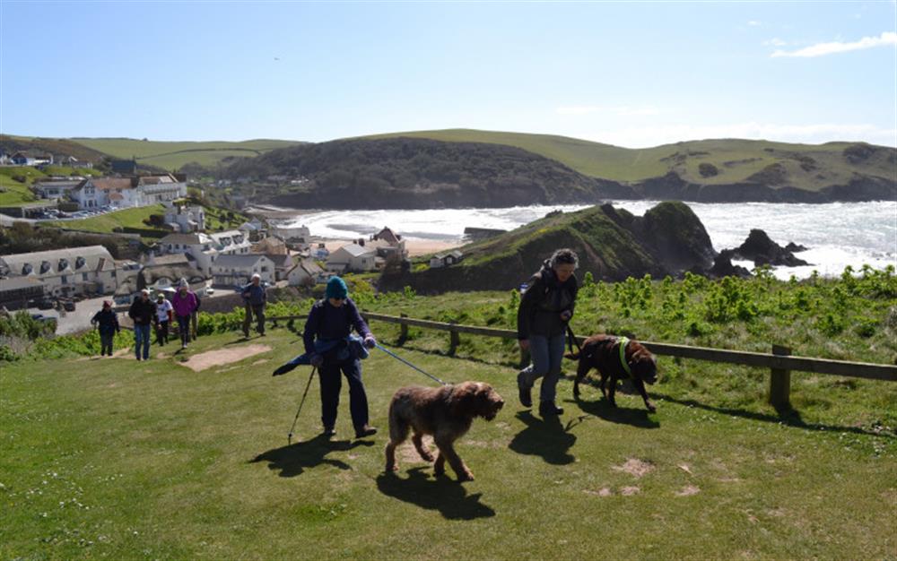 The coast path at Hope Cove at Lower Court Barn in Hope Cove