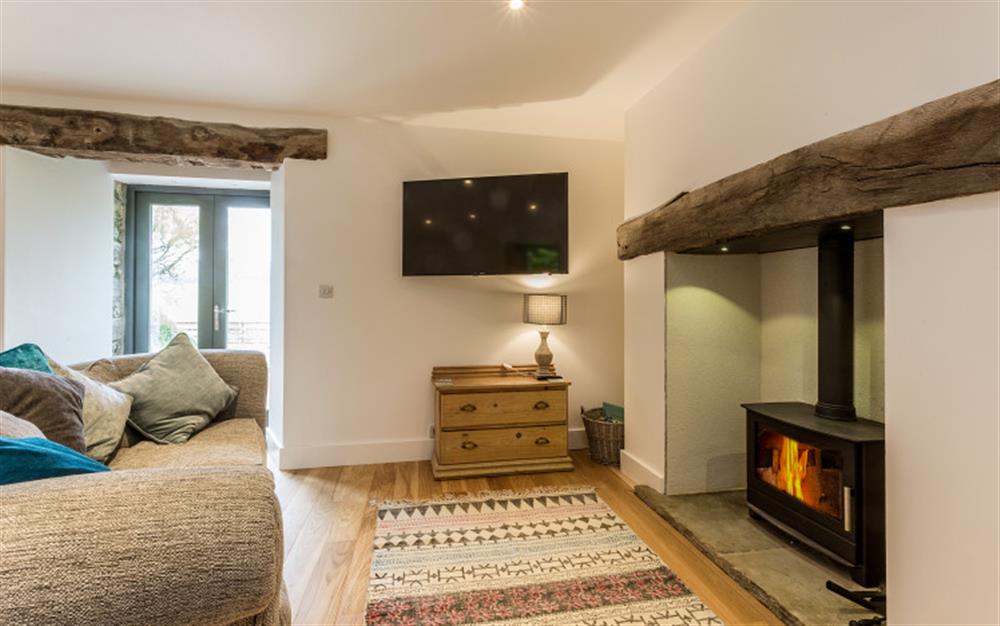 The cosy log burner at Lower Court Barn in Hope Cove