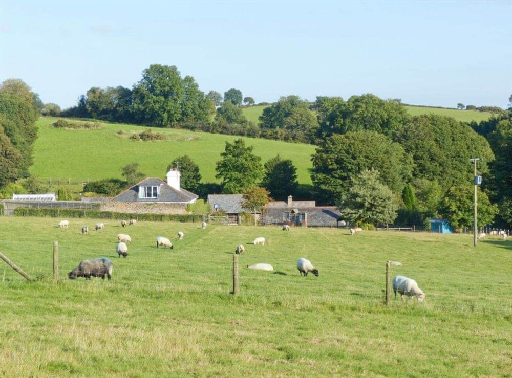 Countryside surrounding the holiday homes at Pond View, 