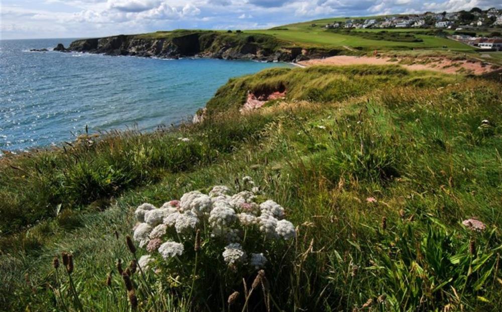 The famous golf course and Yarmer Estate, home to Lower Goosewell, sit on a glorious stretch of coastline overlooking Yarmer Beach at Lower Goosewell Cottage in Thurlestone