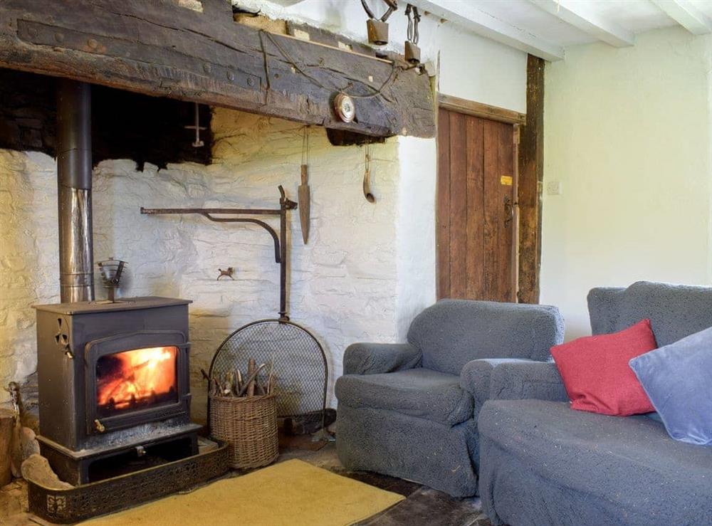 Living room (photo 3) at Lower Goytre Farmhouse in Knighton, Powys