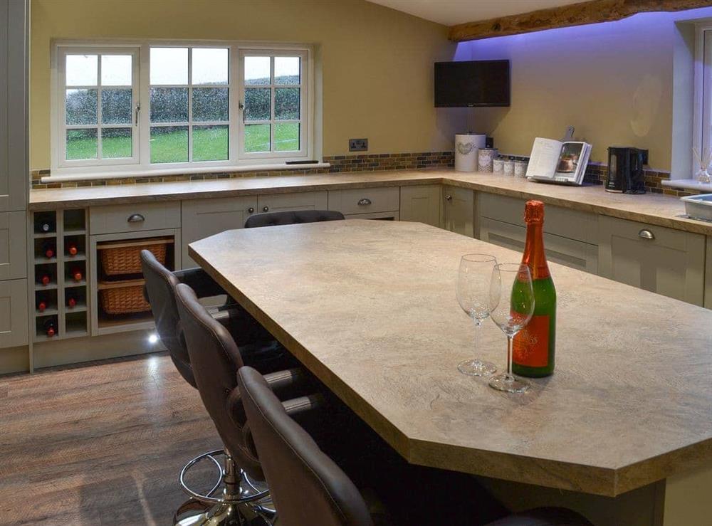 Well equipped modern kitchen with granite tops at Lower Larkworthy in Ashwater, near Holsworthy, Devon