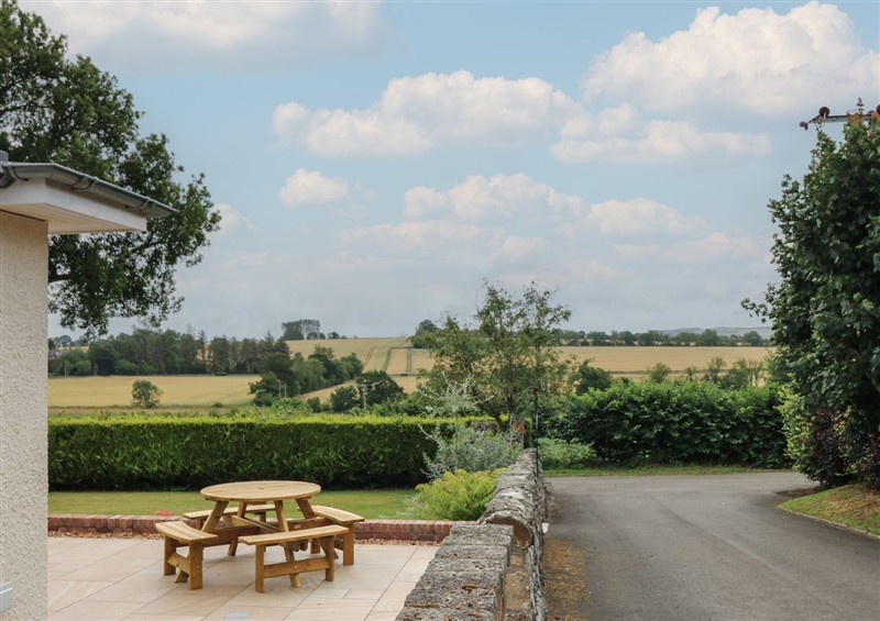 The garden in Lower Lodge at Lower Lodge, near Cupar