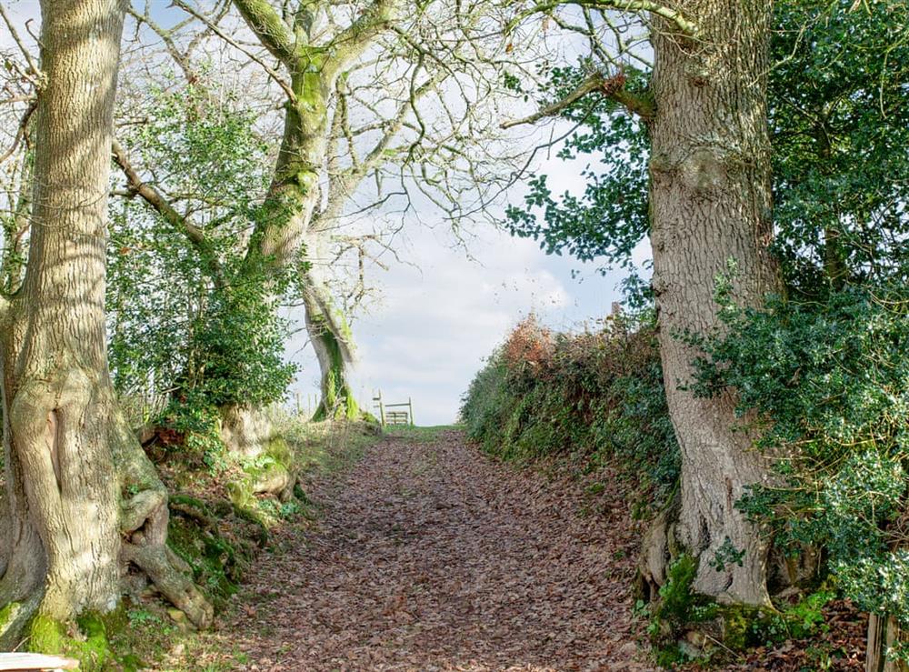 Surrounding area (photo 3) at Lower Marshay Annexe in Pennymoor, near Tiverton, Devon