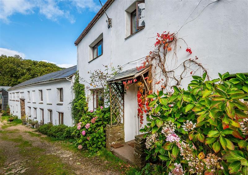 The setting of Lower Mill at Lower Mill, Dittisham