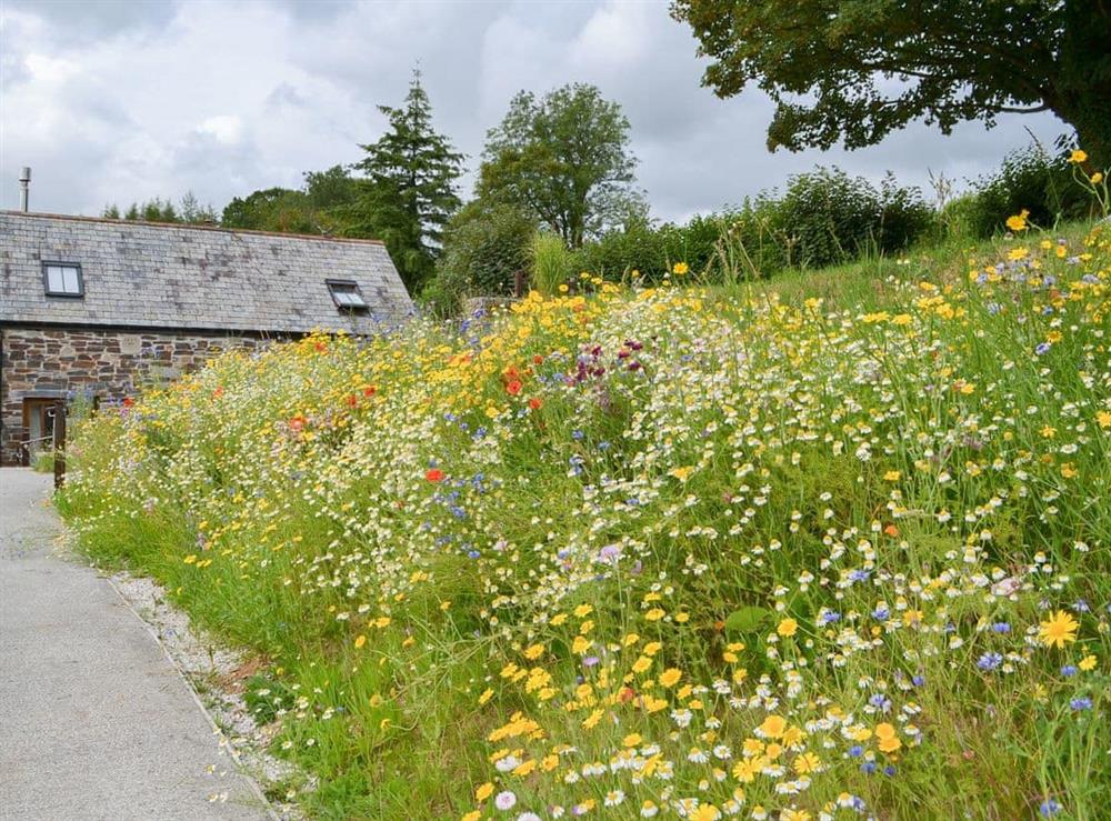 Beautifully resored barns set amongst wild flowers and rolling countryside