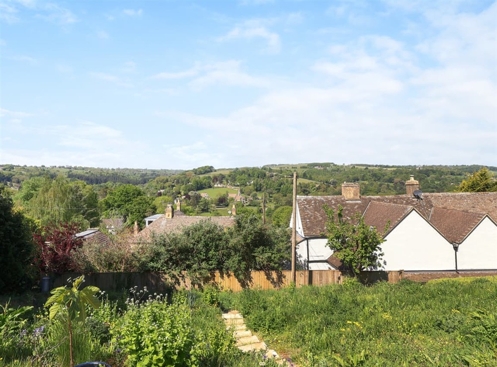 View at Lower Mount Orchard in Stroud, Gloucestershire