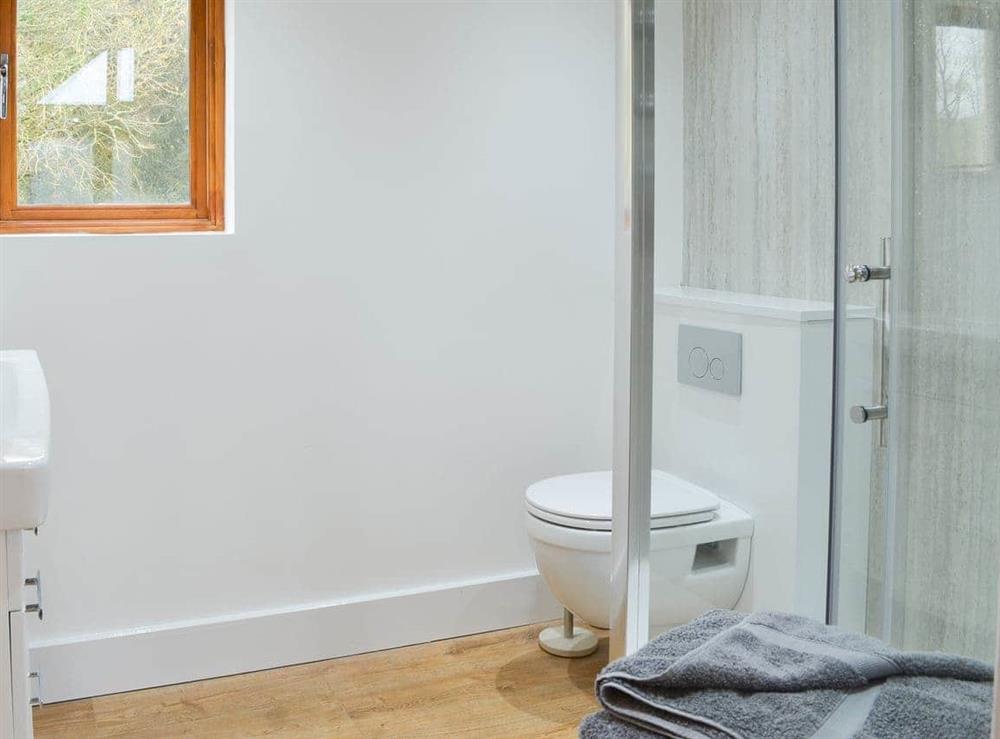 Shower room at Lower Netherdowns in Weare Giffard, Bideford, Devon