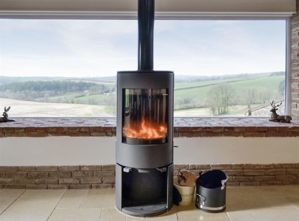 Contemporary multi-fuel burner and amazing rural views at Combe View, 