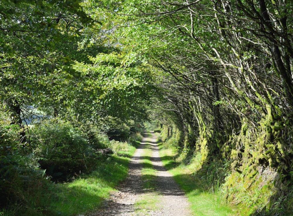 Picturesque country walks at Combe View, 