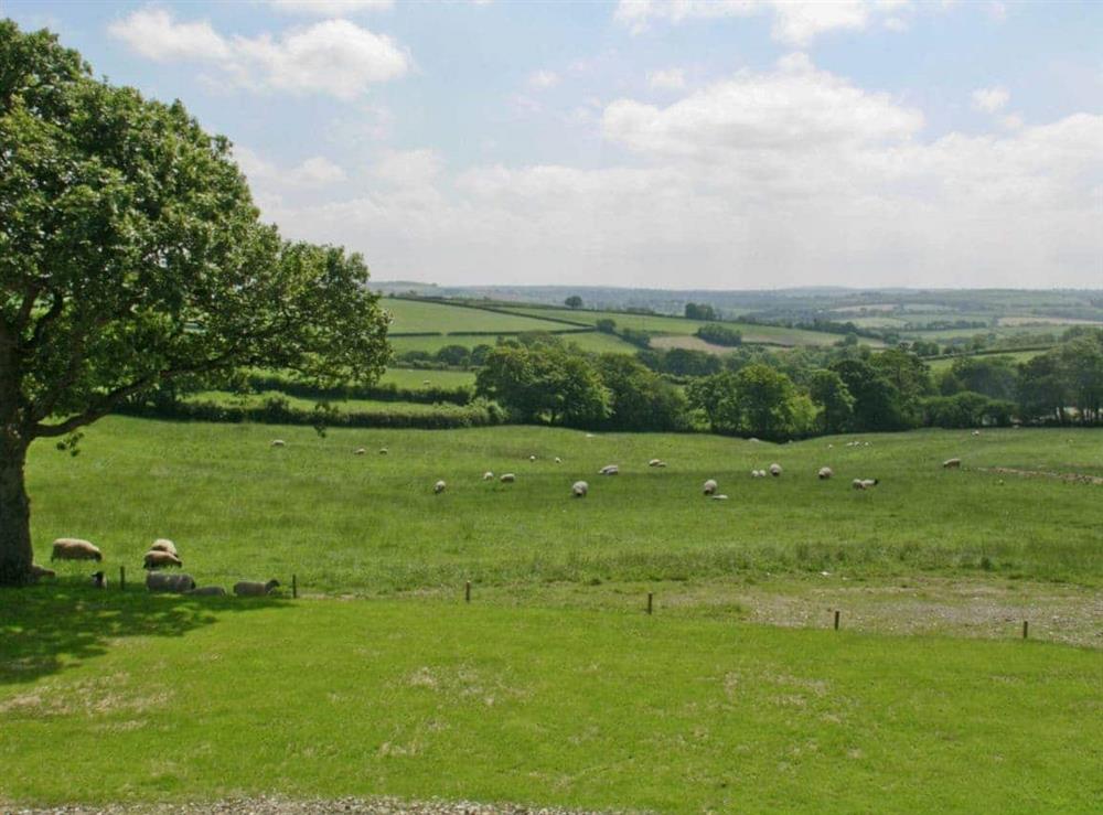 View at Lower Shipen in North Petherwin, near Launceston, Cornwall