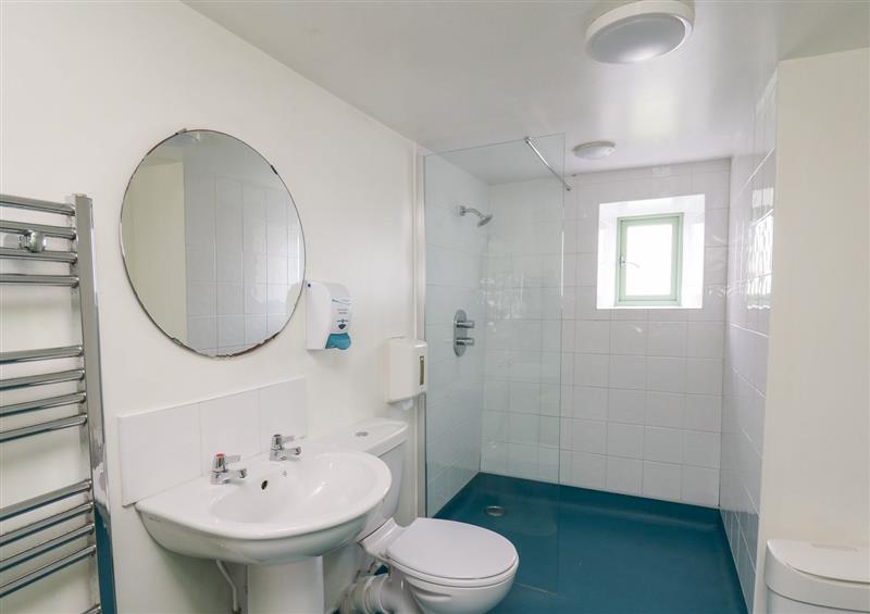 Bathroom (photo 3) at Lower Treginnis Farm, St Davids
