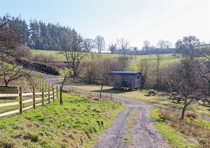 Outside at Lower Well Farm House, Stoke Gabriel