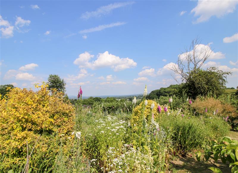 Rural landscape (photo 2) at Lower Woodend Cottage, Bircher Common near Orleton