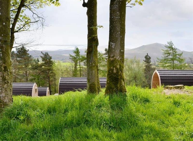 The lodges at Lowside Lodges in Troutbeck, Cumbria
